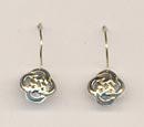 Reflective Images Sita Earrings